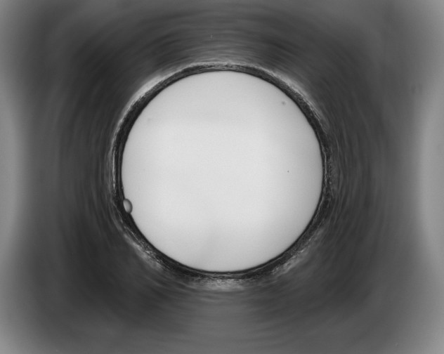 X0000083530982200703091508