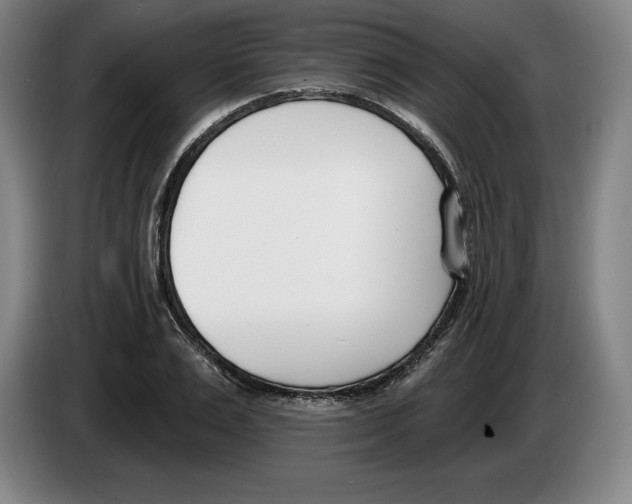 X0000083530983200703091508