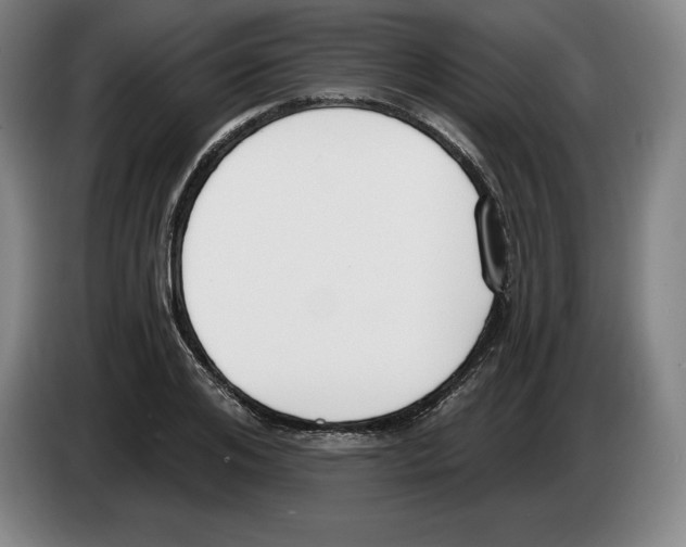 X0000083530984200703091508