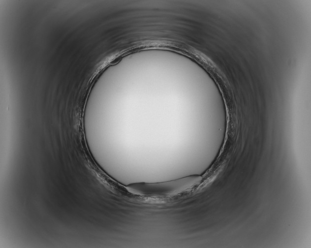 X0000083530985200703091508