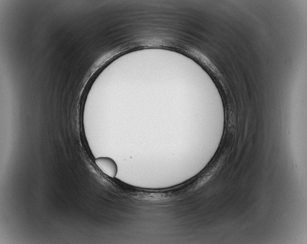 X0000083530986200703091508