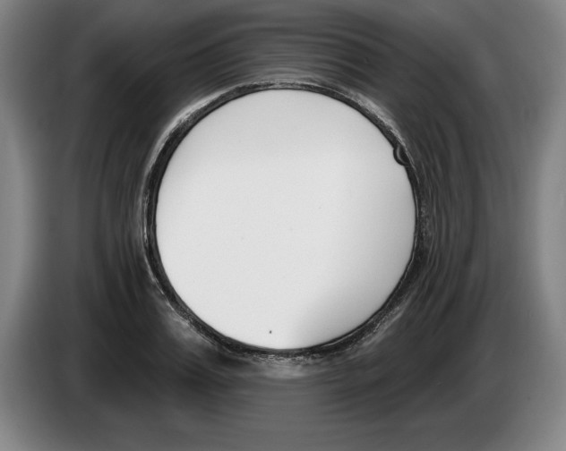 X0000083530987200703091508