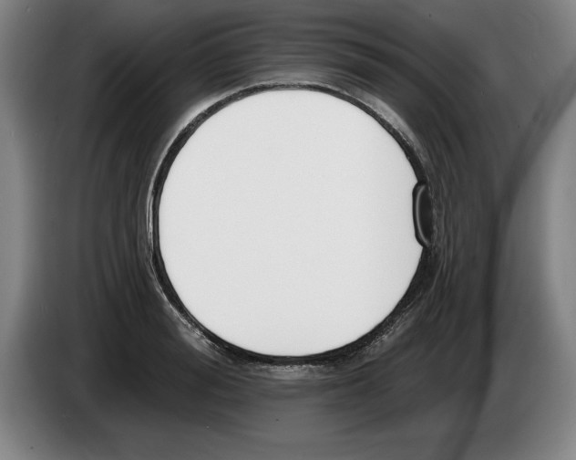 X0000083530988200703091508