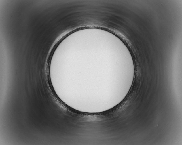 X0000083530990200703091508