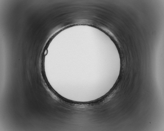 X0000083530991200703091508