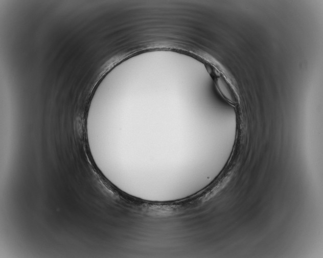 X0000083530993200703091508