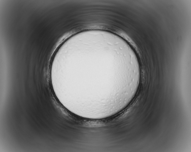 X0000083530994200703091508