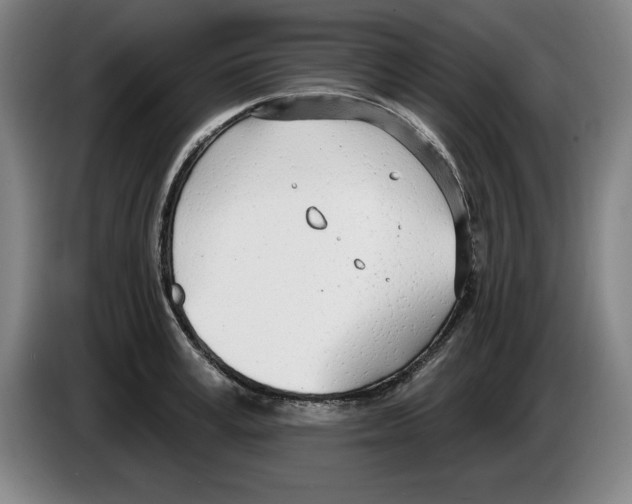 X0000083530995200703091508