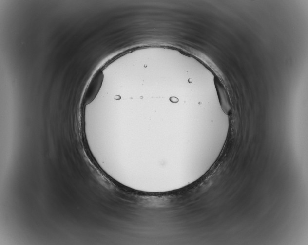 X0000083530996200703091508