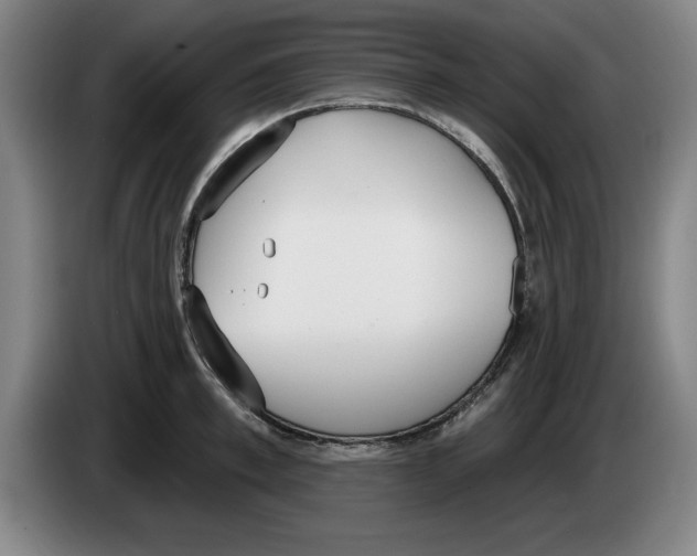 X0000083530997200703091508