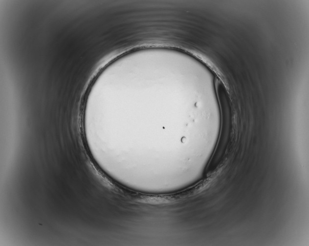 X0000083530998200703091508