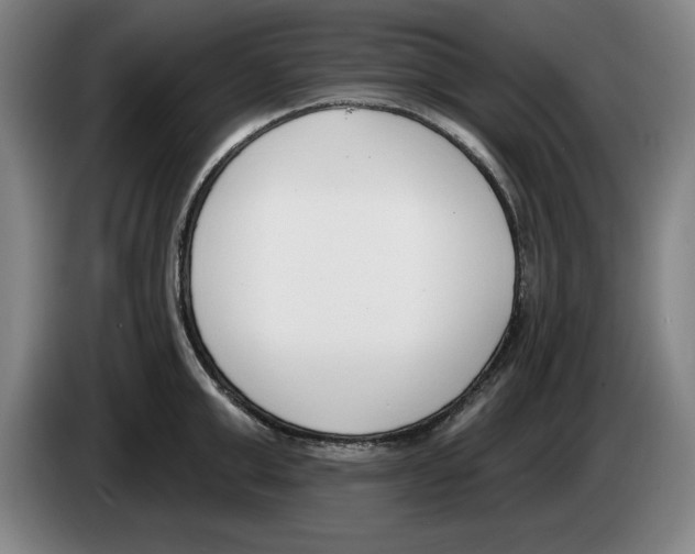 X0000083530999200703091508