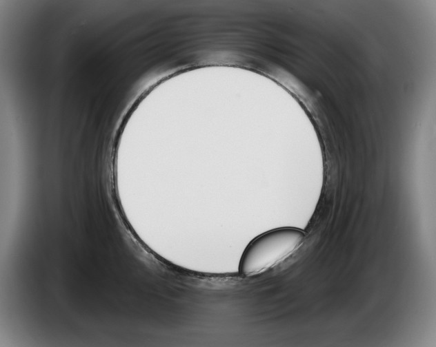 X0000083531000200703091508