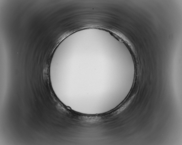 X0000083531001200703091508