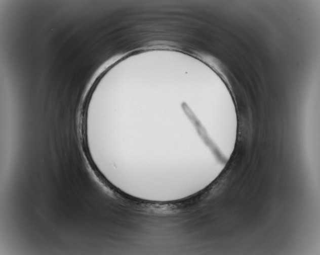 X0000083531003200703091508