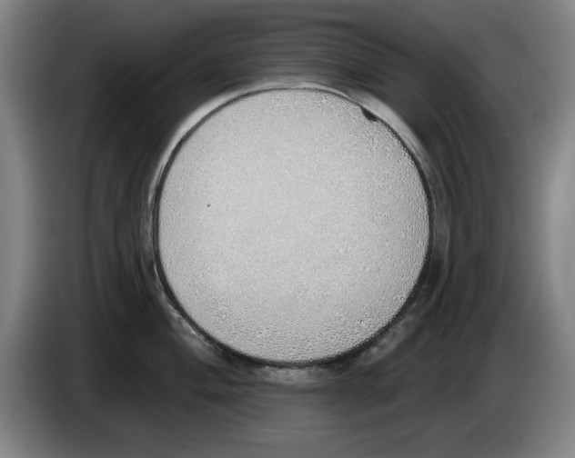 X0000083531004200703091508