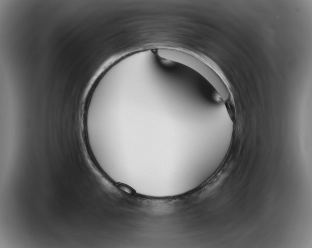 X0000083531005200703091508