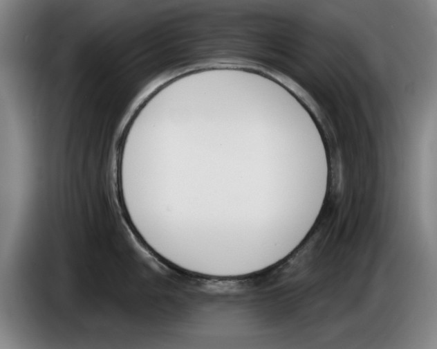 X0000083531006200703091508