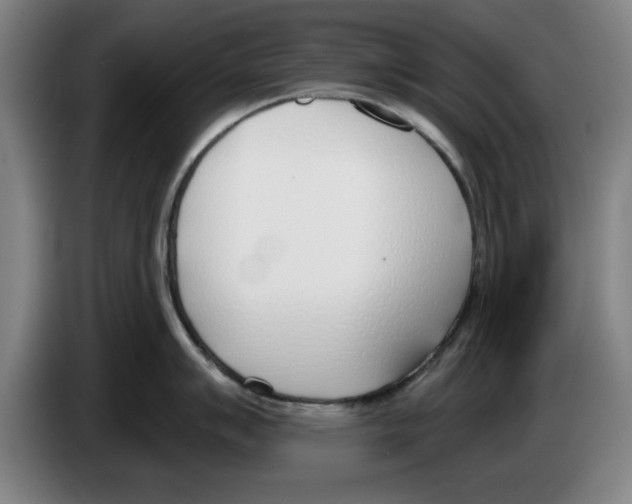 X0000083531007200703091508