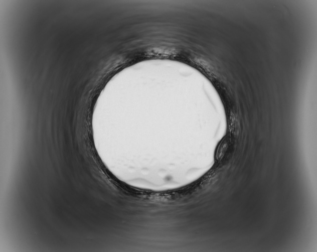 X0000083531009200703091507