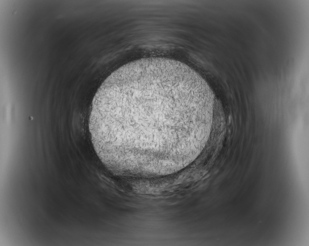 X0000083531010200703091507
