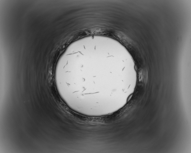 X0000083531011200703091507
