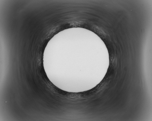 X0000083531012200703091507