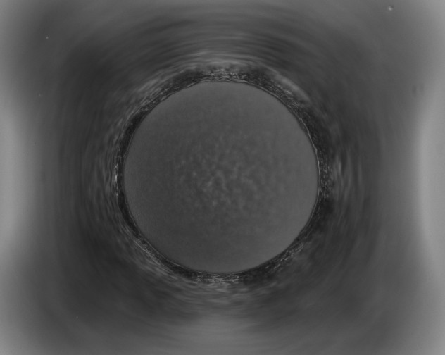 X0000083531013200703091507