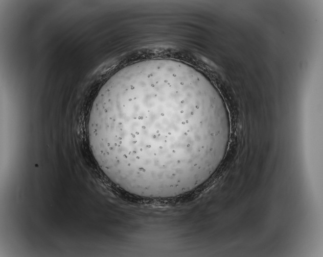 X0000083531014200703091507