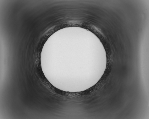 X0000083531015200703091507