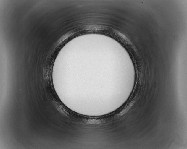 X0000083531017200703091507