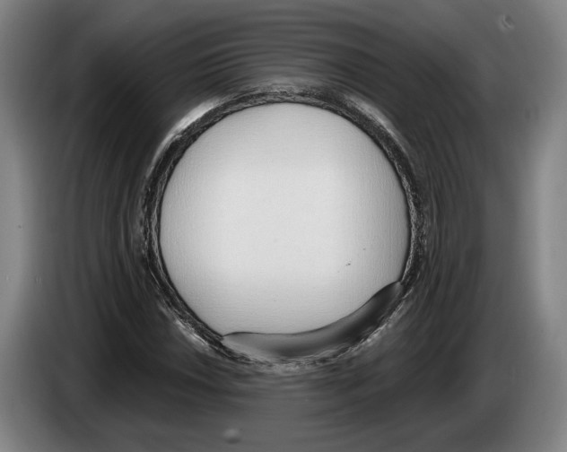 X0000083531018200703091507