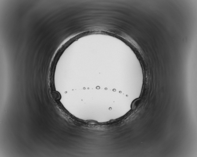 X0000083531020200703091507