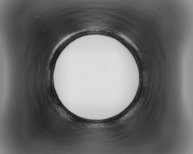 X0000083531021200703091507