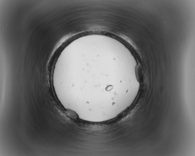 X0000083531022200703091507