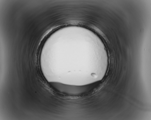 X0000083531023200703091507