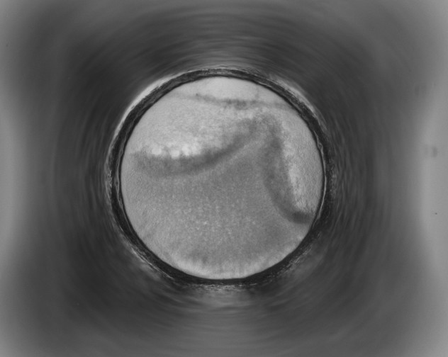 X0000083531024200703091507