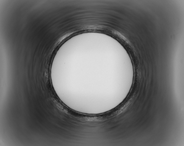 X0000083531025200703091507