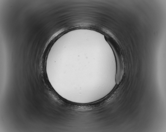 X0000083531026200703091507