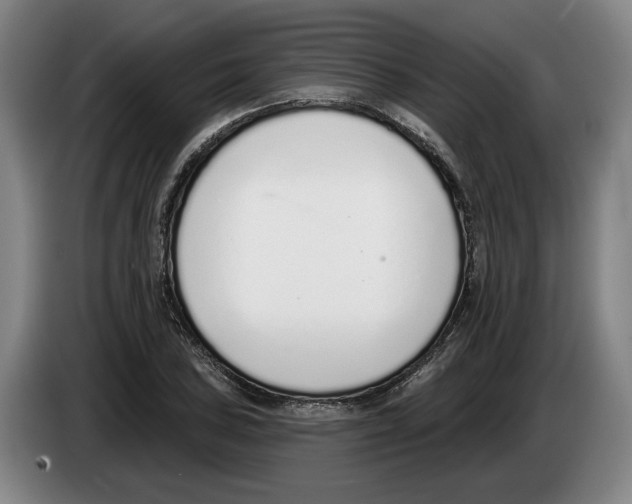 X0000083531027200703091507