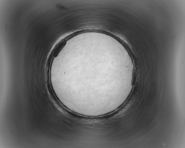 X0000083531030200703091507