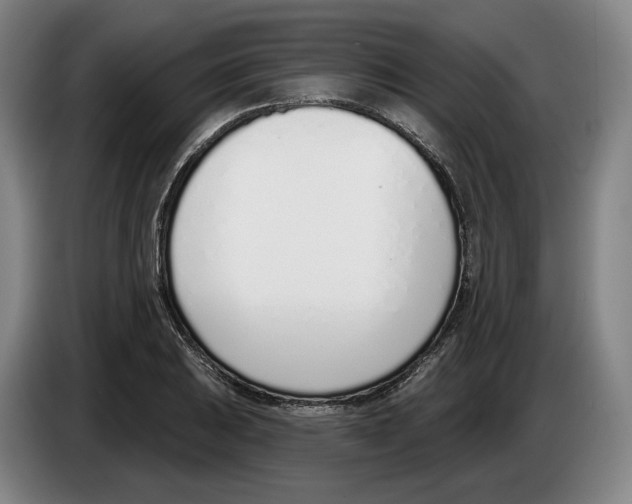 X0000083531031200703091507