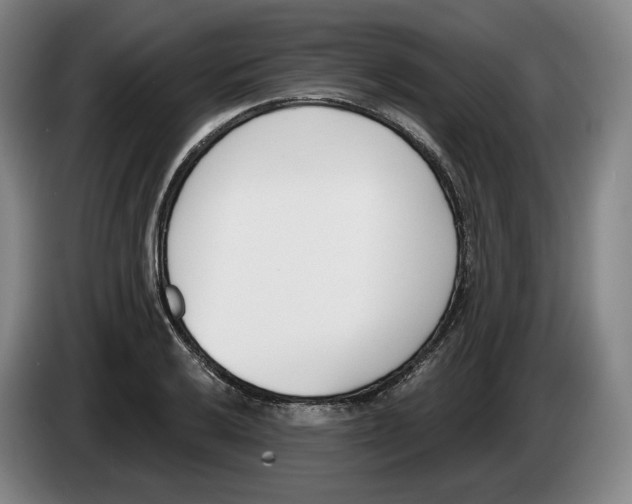 X0000083531032200703091507