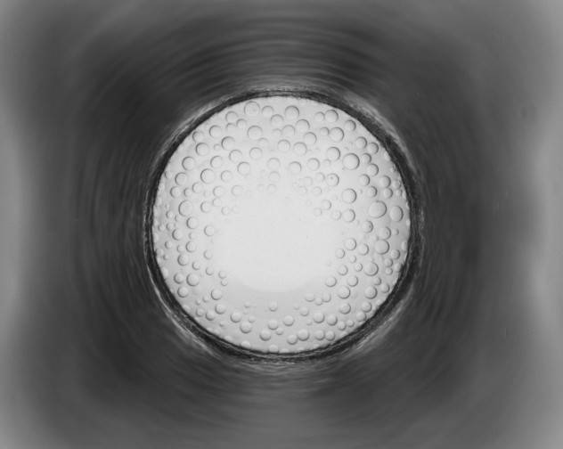 X0000083531033200703091507