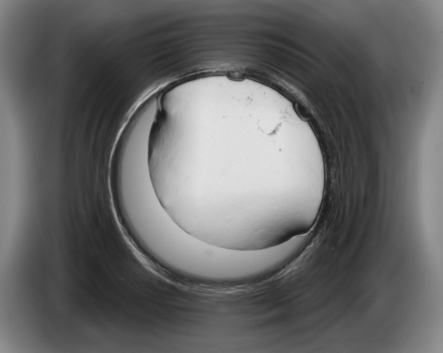 X0000083531034200703091508