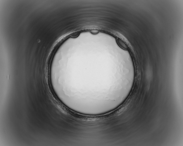 X0000083531035200703091508