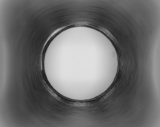 X0000083531036200703091508