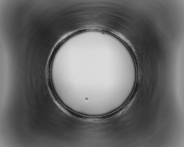 X0000083531037200703091508