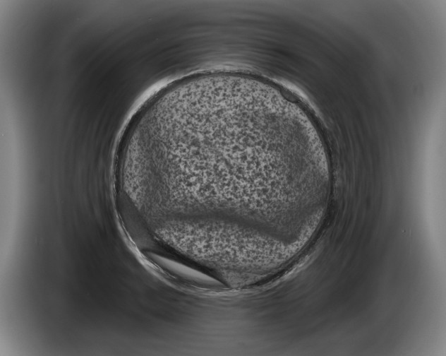 X0000083531038200703091508