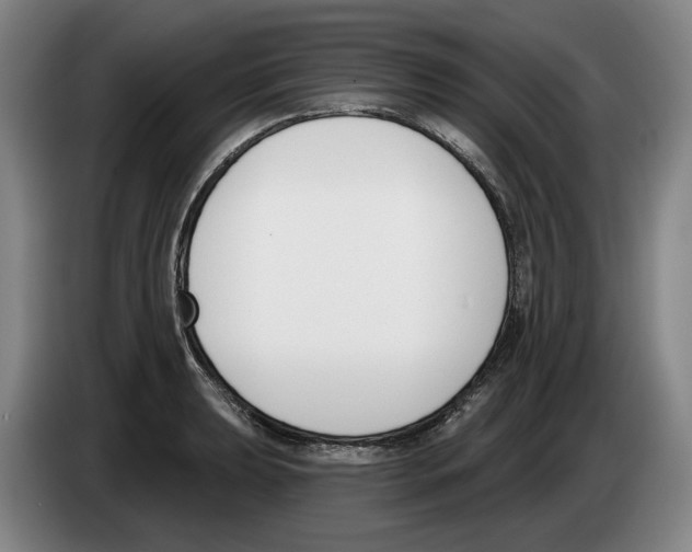 X0000083531039200703091508